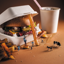 Holy Mackerel Burger trap, a Minimiam blank greetings card, 150mm square, printed in the UK on board from sustainable sources