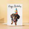 Birthday Card For Her Card For Friend Mum or Sister Birthday Card For Him Brother Dad Happy Birthday Card of Dachshund Dog Fun Birthday Card - Large (5x7) / Blank Message