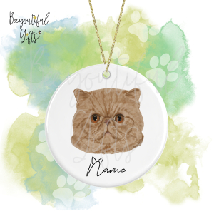Personalised Watercolour Cat Face Round Ceramic Hanging Decoration - Exotic Shorthair - Face 1