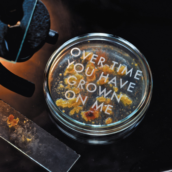 Holy Mackerel you have grown on me retro themed blank greeting card for him or her - designed by Andy Poplar - 15cm square and blank inside for your message