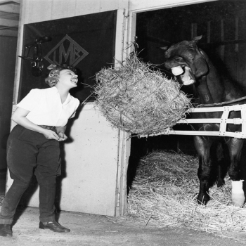 Holy Mackerel eating together retro black and white photographic card featuring a vintage image of a rider feeding her horse - 12.6 x 17.7cm and blank inside