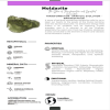 Genuine Moldivite Sterling Silver Necklace