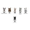 Personalised Cat Bar Runner Mat, Cat Sign & 4 x Drinks Coasters Gift Set Garden Bar Sets / Custom Beer Mats Home Bar, personalised bar mat - Set of 4 Coasters
