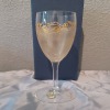 Hand Painted Gold Effect Prosecco Champagne or Prosecco Flutes Glasses