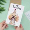 Birthday Card For Him or Her Of A Poodle Dog Illustration For Him or Her Birthday Gift - Portrait (5x7) / Blank Inside