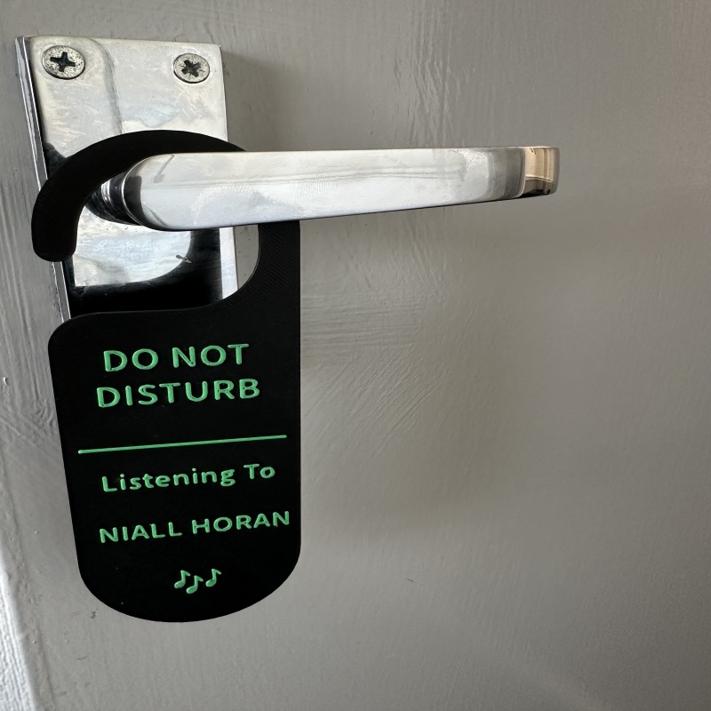 Niall Horan Door Sign and Keyring
