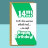 14th Birthday Card - Personalised - Funny - Nephew, Niece, Son, Daughter - Skibidi Rizz - Gen Alpha Slang - 14 year old gift ideas - Blank inside - Regular - Matte