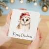 Fun Christmas Card of a Barn Owl Wearing A Santa Hat Whimsical Watercolour Christmas Card For Bird Lover For Him or Her - Square (5.5x5.5) / Blank Inside