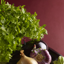 Pruning The Parsley 150mm Square Greetings Card by Akiko Ida and Pierre Javelle