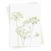 Fennel blank greeting card -  designed by Eloise Hall - 15.7 x 11cm and blank inside, made in the UK