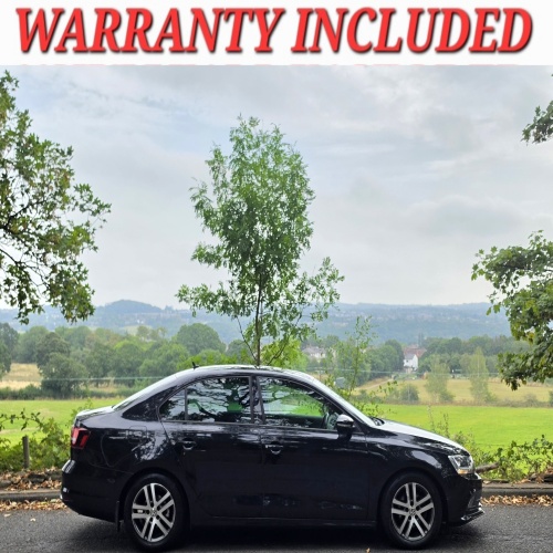 Volkswagen Jetta 2016 (66)