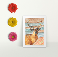 Stag - A4 Print - Mounted
