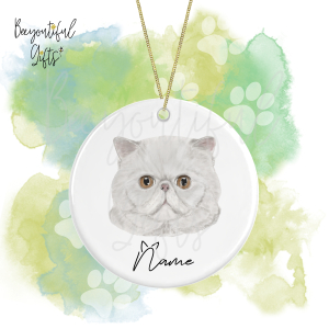 Personalised Watercolour Cat Face Round Ceramic Hanging Decoration - Exotic Shorthair - Face 7