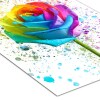 RAINBOW ROSE Art Print, Self Love Art, Rainbow Art Work High Gloss Print, Splash Art, Home Decor, Romantic Art Floral Prints Custom Art Work - A6 - Print Only