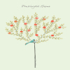 Orange Tree Penblwydd Hapus (Happy Birthday)