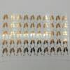 100 Champagne Flute Stickers for Weddings or Celebrations