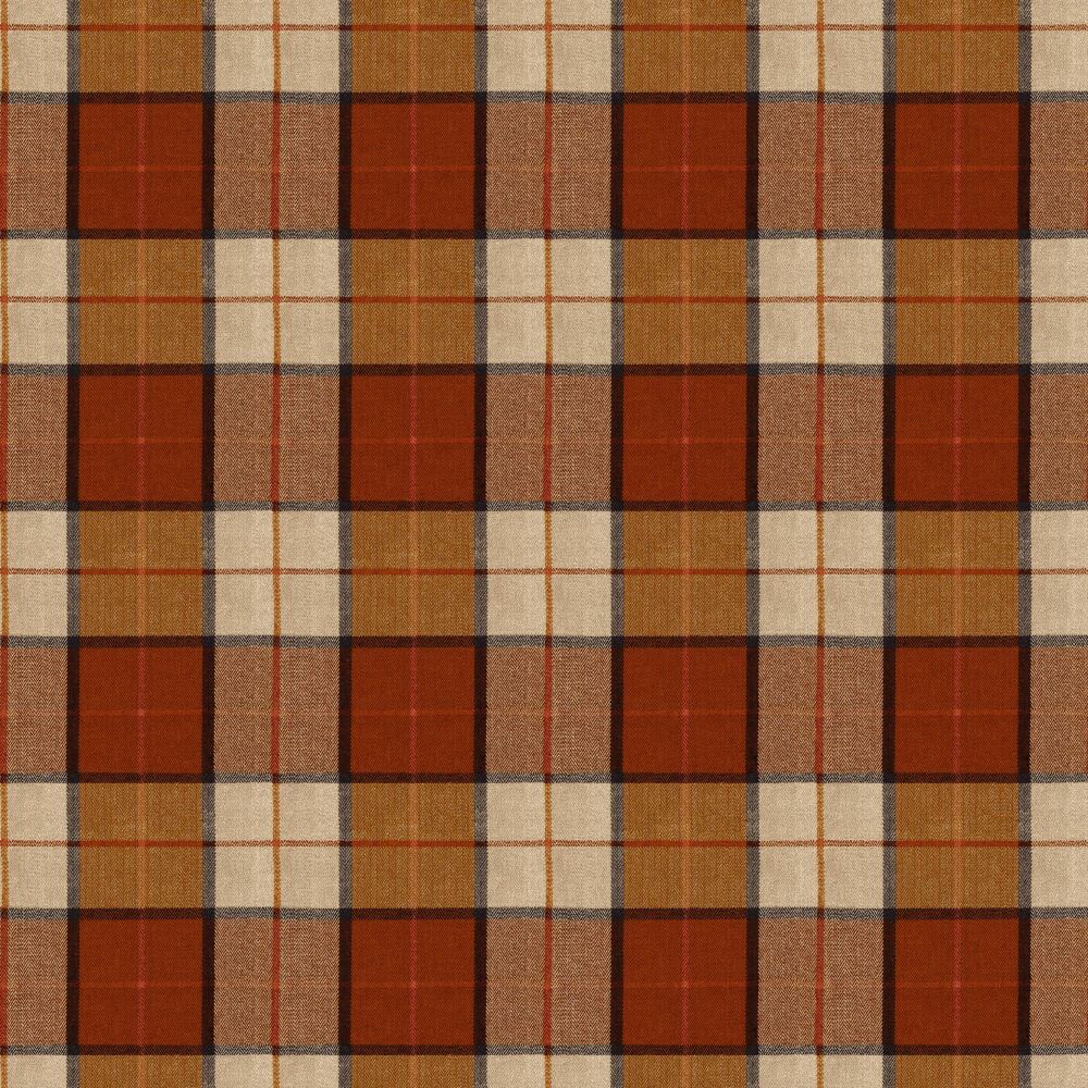ELGIN-RUST