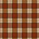 ELGIN-RUST