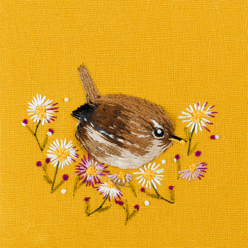 Wren with Daisies 150mm Square Greetings Card by Artist Sarah J Perry