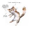 Interpretive Dance - funny cat card