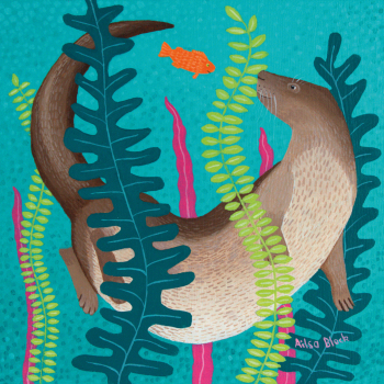Holy Mackerel otter nature themed art card for him or her - designed by artist Ailsa Black - 15cm square and blank inside for your message