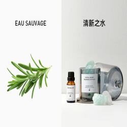 EAU SAUVAGE
