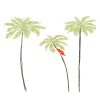 Palm Trees Greeting Card