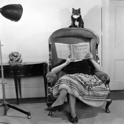Holy Mackerel Mrs Middleton's cat retro black and white photographic card featuring a vintage image of a woman reading with her pet - 12.6 x 17.7cm and blank inside