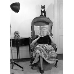 Holy Mackerel Mrs Middleton's cat retro black and white photographic card featuring a vintage image of a woman reading with her pet - 12.6 x 17.7cm and blank inside