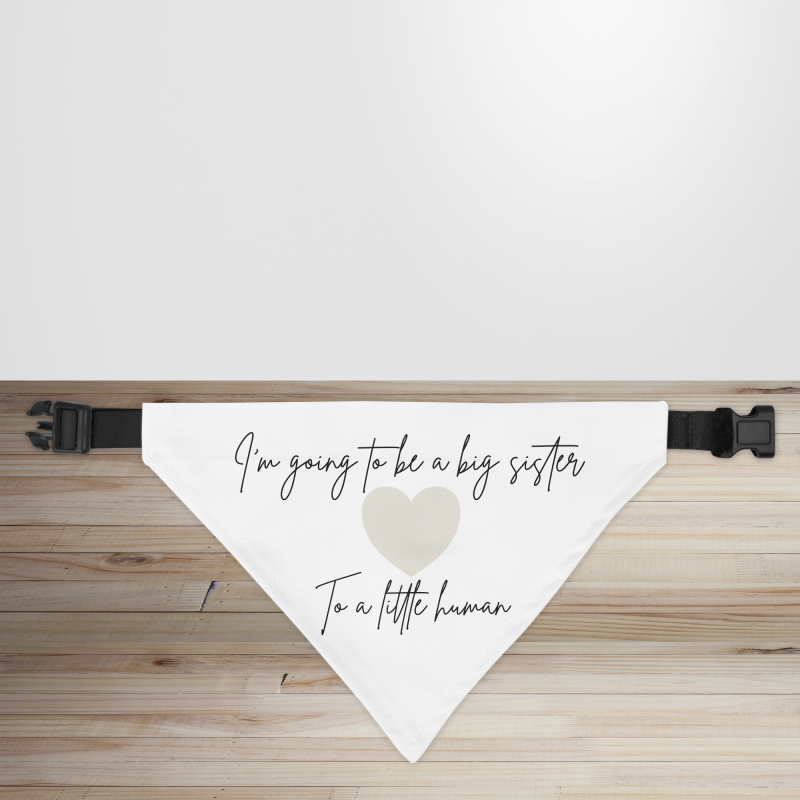 Pregnancy Announcement Dog/Puppy Bandana - Small - 12x17cm (Strap: 25cm - 40cm)