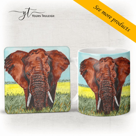 Elephant - Large Range of Giftware available.