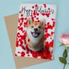 Valentine's Day Card Of A Shiba Inu Valentine's Day Card For Her or For Him From The Dog - Portrait (5x7) / Blank Inside