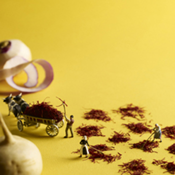 Worth its Weight in Gold 150mm Square Greetings Card by Akiko Ida and Pierre Javelle