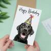 Birthday Card For Her Card For Friend Mum or Sister Birthday Card For Him Brother Dad Happy Birthday Card of Labrador Dog Fun Birthday Card - Large (5x7) / Blank Message