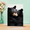 Anniversary Card – Cuddling Bears Love Card for Husband, Wife, Boyfriend, or Girlfriend - Portrait (5x7) / Blank Inside