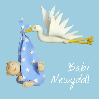 Babi Newydd new baby boy Welsh language greetings card by Erica Sturla. Card is 15cm square and blank inside.