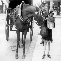Holy Mackerel food thief retro black and white photographic card featuring a vintage image of a horse after a little girl's lunch - 12.6 x 17.7cm and blank inside