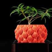 Ripple Planter Pot