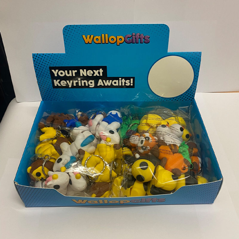 Keyring Counter Display Box (40 Keyrings)