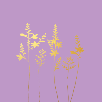 Crocosmia & Grass Gold Greeting Card