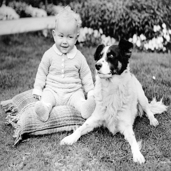 Holy Mackerel sharing a moment retro black and white photographic card featuring a vintage image of a baby and a border collie dog - 12.6 x 17.7cm and blank inside