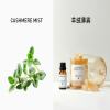 CASHMERE MIST