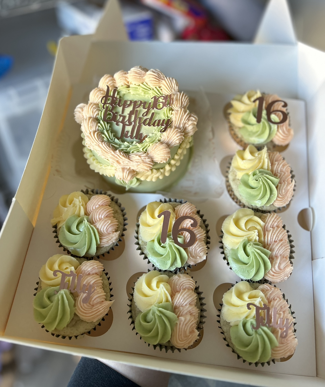 Bento Cake and Cupcakes Box