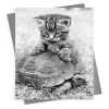 Kitten and tortoise - vintage black and white themed card - 12.6 x 17.7cm and blank inside - made in the UK