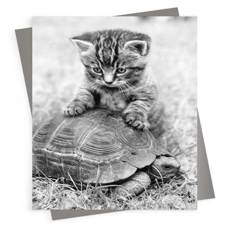 Kitten and tortoise - vintage black and white themed card - 12.6 x 17.7cm and blank inside - made in the UK