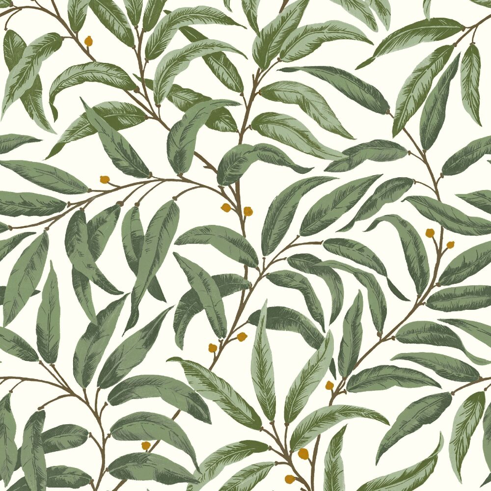 RUSKIN OLIVE