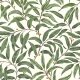 RUSKIN OLIVE