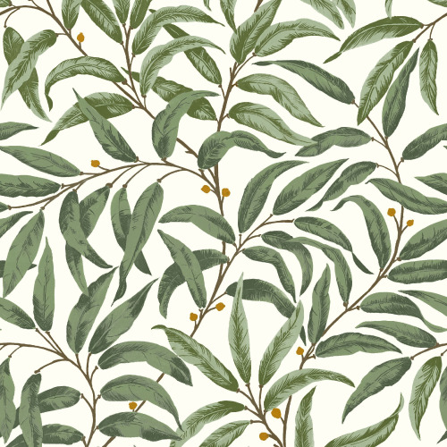 RUSKIN OLIVE