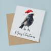Fun Christmas Card of a Black Bird Wearing A Santa Hat Whimsical Watercolour Christmas Card For Bird Lover For Him or Her - Square (5.5x5.5) / Blank Inside