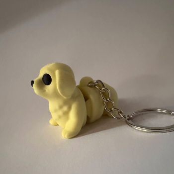 Golden Retriever Keyring